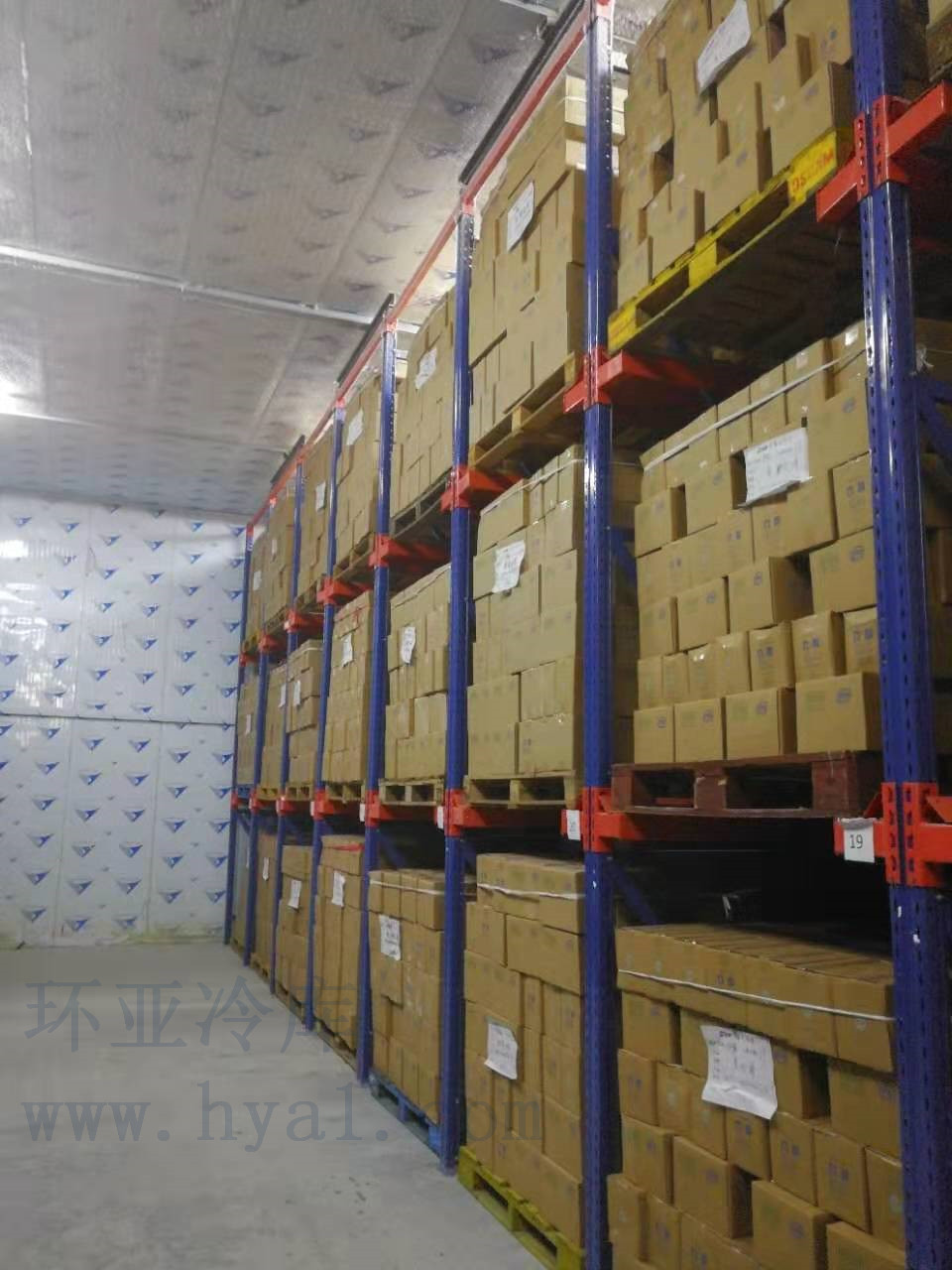 醫藥冷庫：血液冷庫、醫院冷庫、醫療器械冷庫、體外診斷試劑冷庫、GSP驗證冷庫、冷鏈驗證、中藥材冷庫、常溫庫、陰涼庫、藥品冷藏庫、試劑冷庫、醫療冷庫、試劑冷庫、醫藥冷鏈冷庫